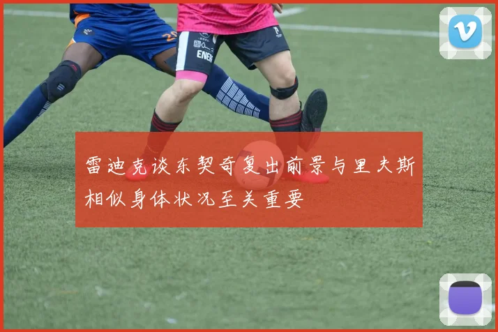 雷迪克谈东契奇复出前景与里夫斯相似身体状况至关重要